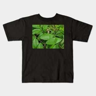 Chameleon on Green Leaves Kids T-Shirt